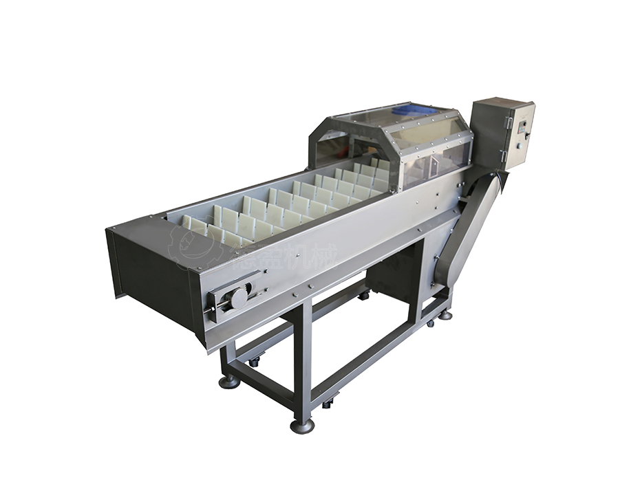 芹菜去根切段机DY-309