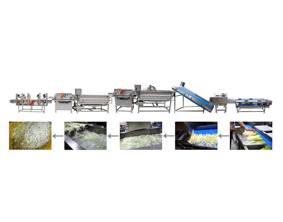  叶菜加工生产线